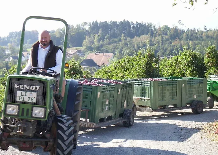 Ferien- Und Obsthof Sonnenhalde Bodolz